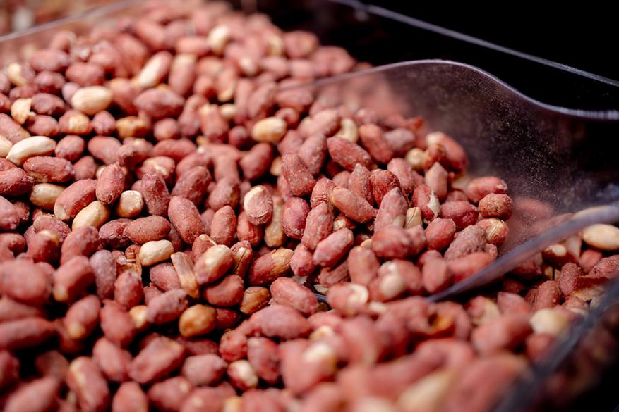 Καρπός | Μητροπόλεως 28