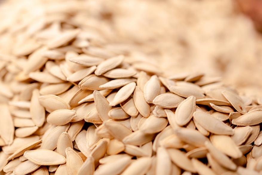 Καρπός | Μητροπόλεως 28