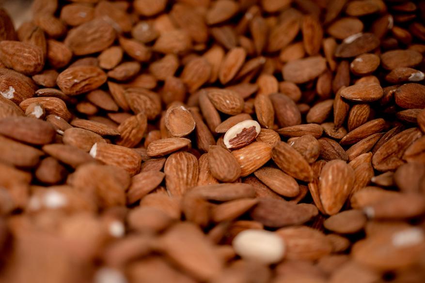 Καρπός | Μητροπόλεως 28