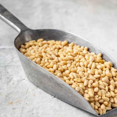 Κουκουνάρι